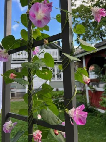 Hotelli Kaivo Nådendal Eksteriør bilde
